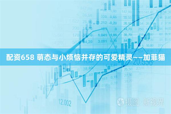 配资658 萌态与小烦恼并存的可爱精灵——加菲猫