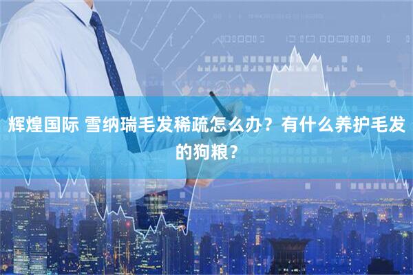 辉煌国际 雪纳瑞毛发稀疏怎么办？有什么养护毛发的狗粮？