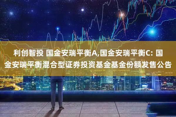 利创智投 国金安瑞平衡A,国金安瑞平衡C: 国金安瑞平衡混合型证券投资基金基金份额发售公告