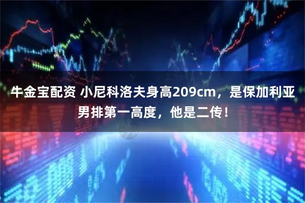 牛金宝配资 小尼科洛夫身高209cm，是保加利亚男排第一高度，他是二传！